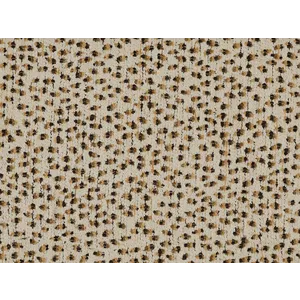 26037.jpg