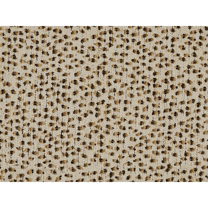 26037.jpg