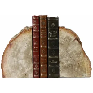 Petrified Bookend, Pair
