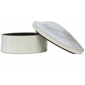 Abalone Box