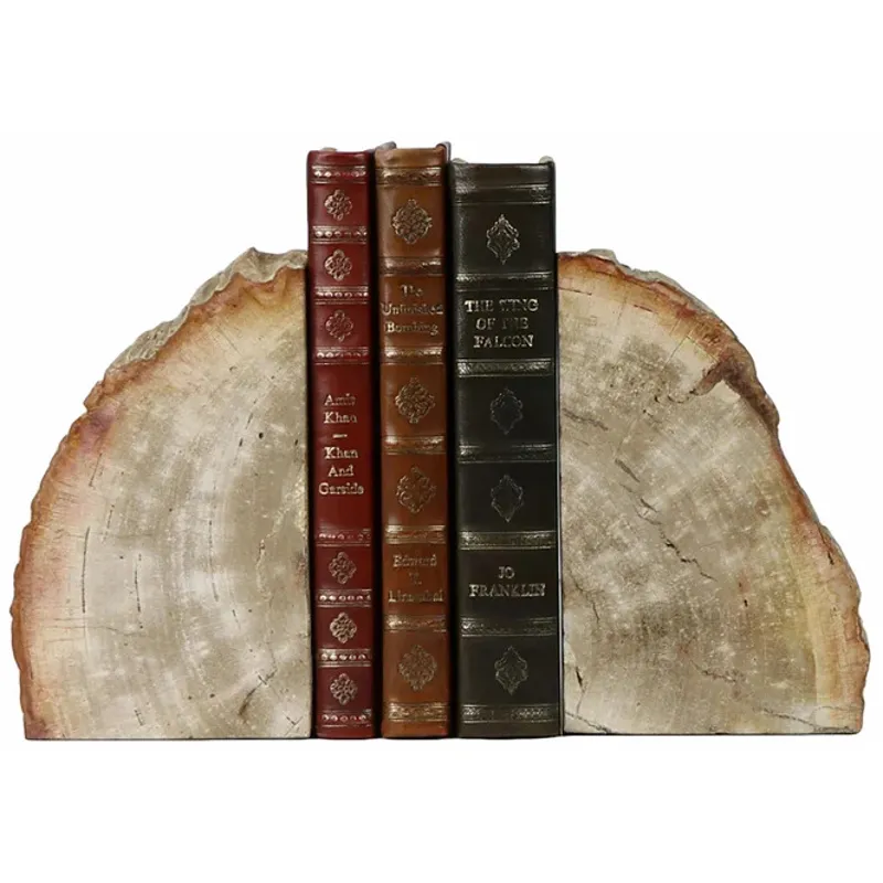 Petrified Bookend, Pair