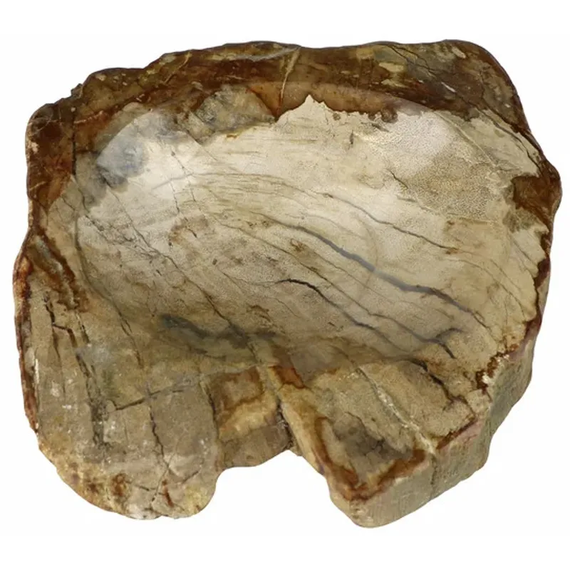 Petrified Wood Soap Dish