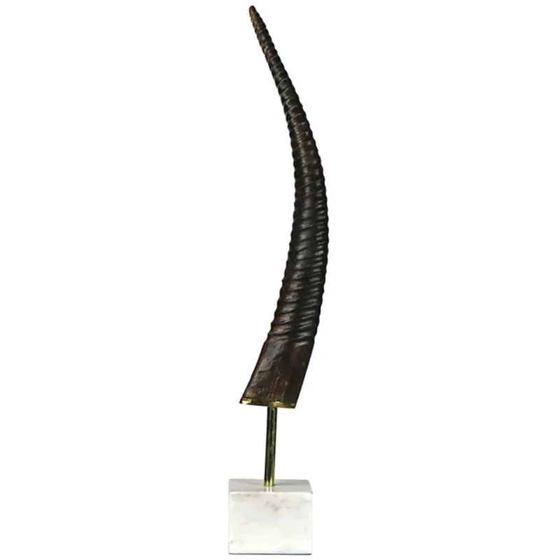Exotic Horn on Base