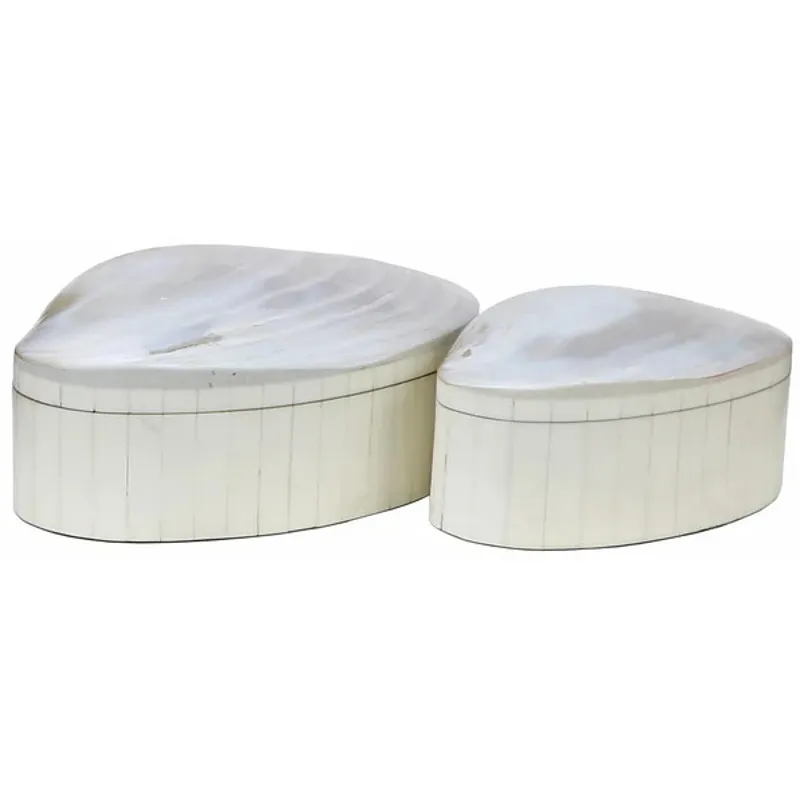 Abalone Box