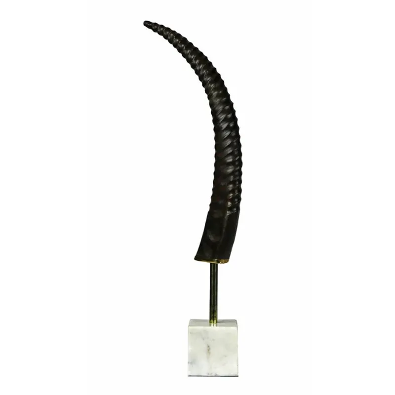Exotic Horn on Base
