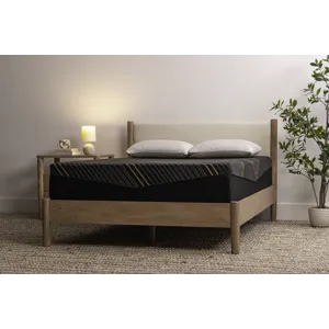 Alpine - Lifestyle Angle.jpg