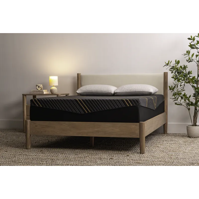 Alpine - Lifestyle Angle.jpg