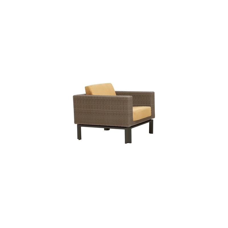 Lounge Chair w/ Loose Cushions