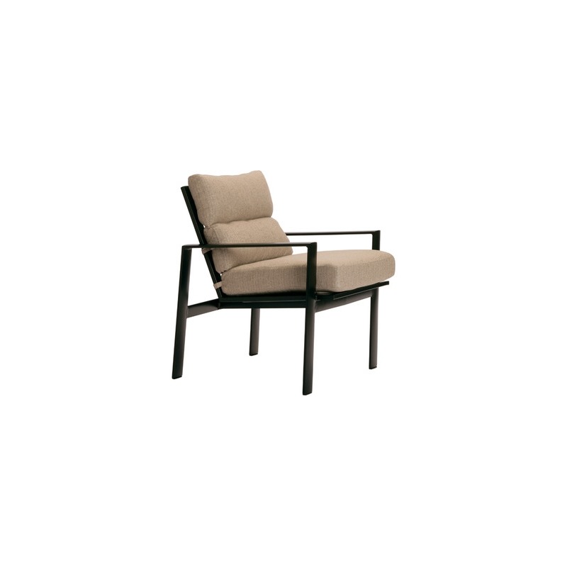 Arm Chair w/ Loose Cushions