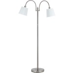 Gail Gooseneck Floor Lamp - Brushed Steel