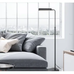 Delray 17w, 3000k Non Dimmable Integrated LED Metal Floor Lamp With Adjustable Height