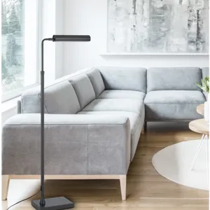 Delray 17w, 3000k Non Dimmable Integrated LED Metal Floor Lamp With Adjustable Height