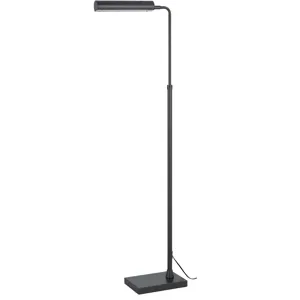 Delray 17w, 3000k Non Dimmable Integrated LED Metal Floor Lamp With Adjustable Height