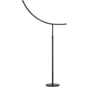 Lumen Metal Integrated LED Adjustable Floor Lamp