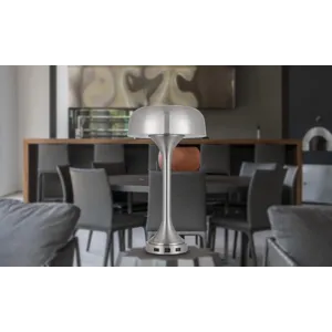 40w X 2 Mushroom Cloud Metal Desk Lamp With 1 USB And 1 Type C USB Charging Ports