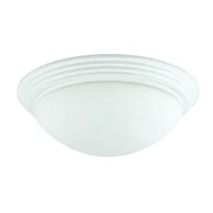 60w X 2 Ceiling Lamp