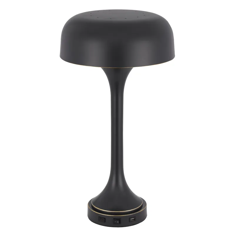 40w X 2 Mushroom Cloud Metal Desk Lamp With 1 USB And 1 Type C USB Charging Ports