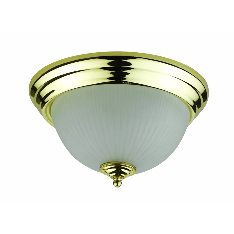 13w X 2 Ceiling Lamp,g24q-1 Socket