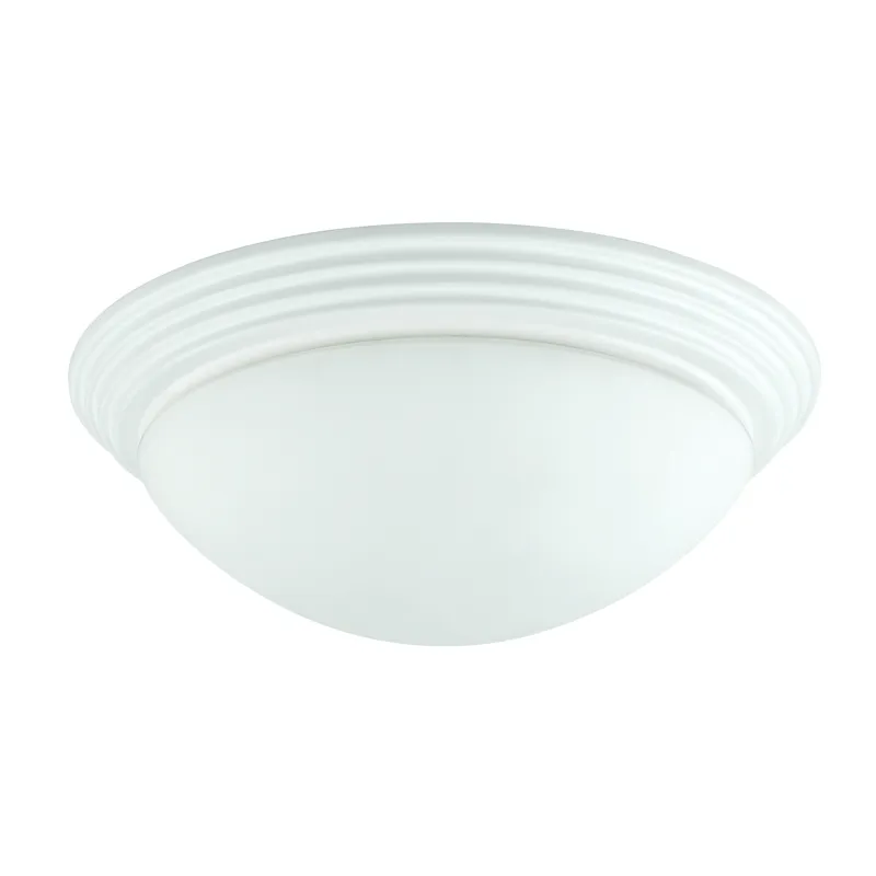 60w X 2 Ceiling Lamp
