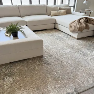 Ives Silver Rectangle Rug - 5\'3\" x 7\'10\"