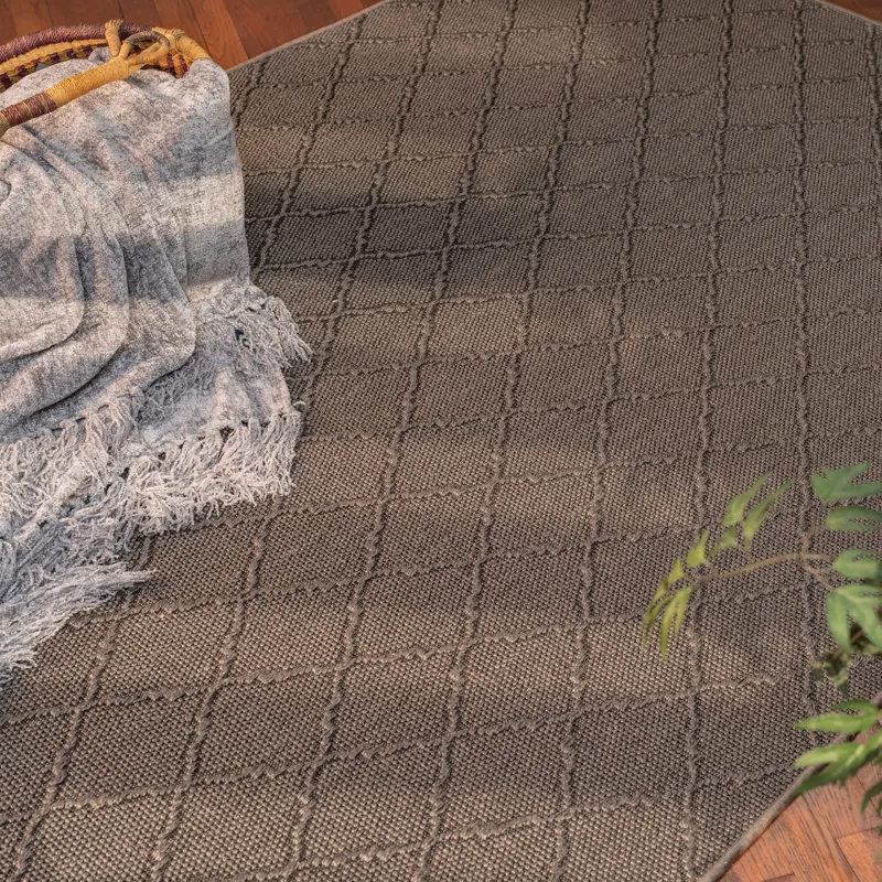 Hugo Graphite Rectangle Rug - 4\' x 6\'