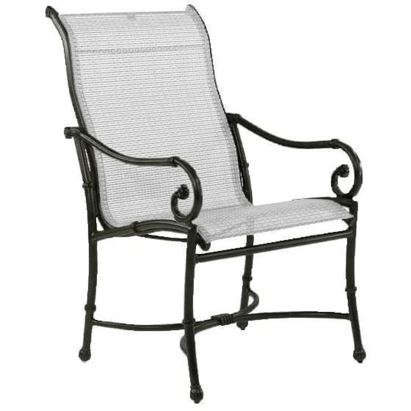 Sling Dining Chair