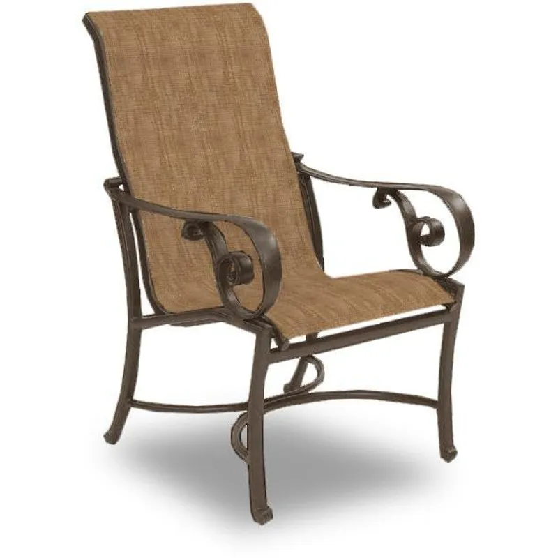 Sling Dining Chair
