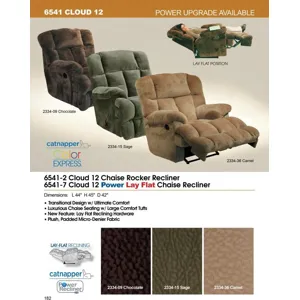 Rocker Recliner