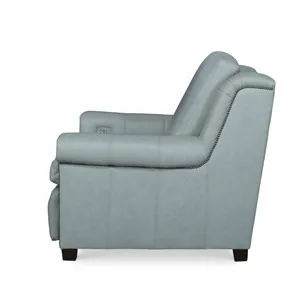 Century Leather Ellery Electric Motion Wh Recliner