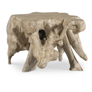 Grand Tour Furniture Natural Teak Root Coffee Table Light