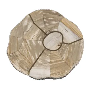 Grand Tour Furniture Elan Petrified Wood Accent Table Light