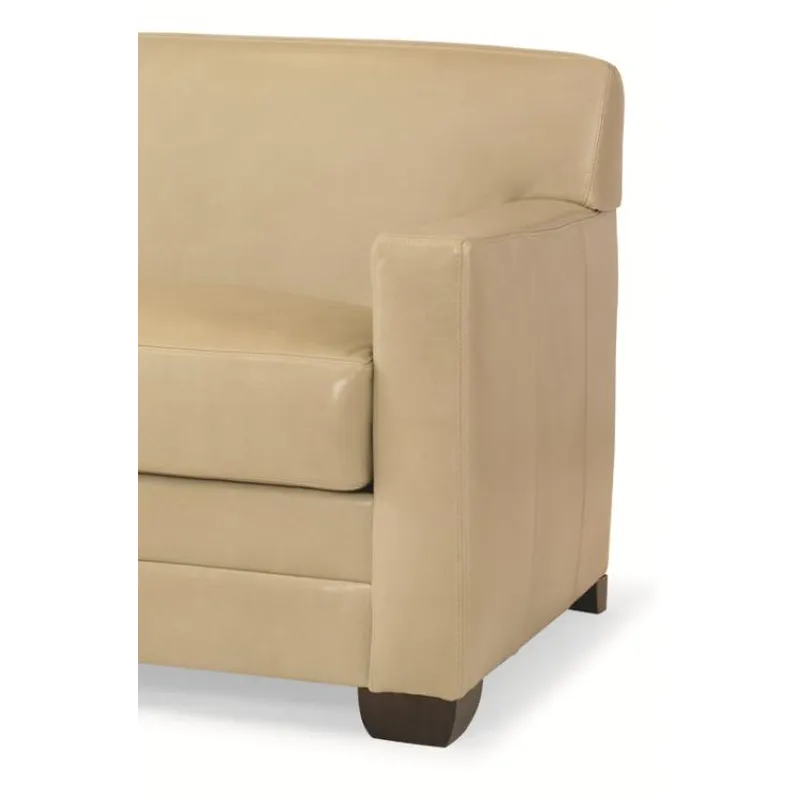 Century Leather Leatherstone Apt Sofa (2 Backs/1Seat)