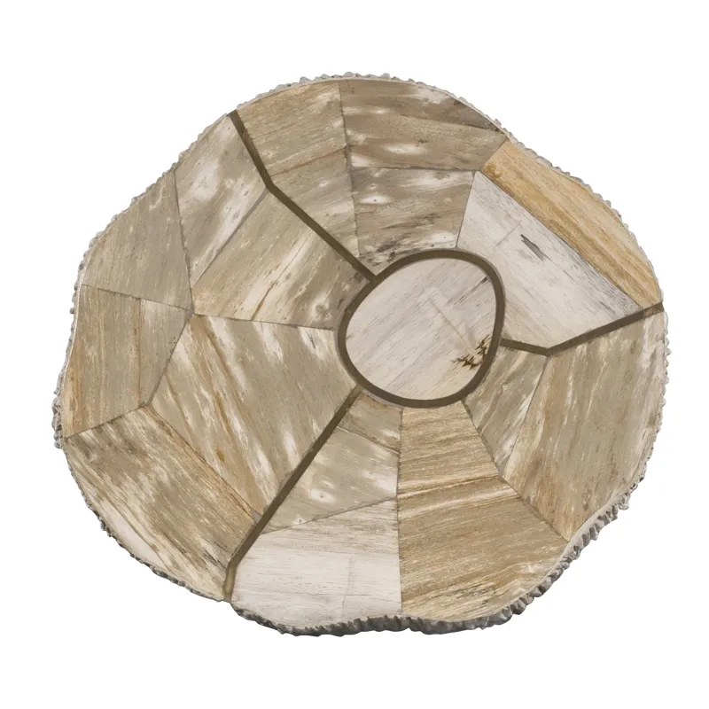 Grand Tour Furniture Elan Petrified Wood Accent Table Light
