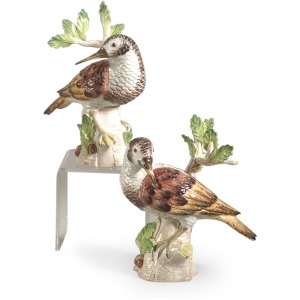 43-0025 Cayman Birds-pair