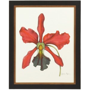 35-0049d Majestic Orchid Iv