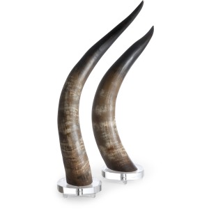 Horns - Natural Set-2