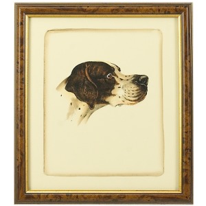 35-0020c Danchin Pointer
