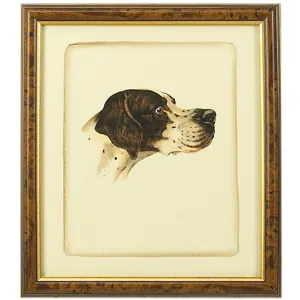 35-0020c Danchin Pointer
