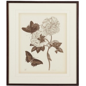 35-0074d Nature Study/sepiaiv