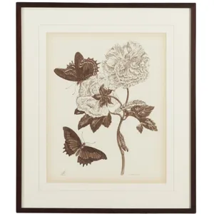 35-0074d Nature Study/sepiaiv