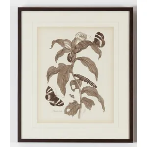 35-0074a Nature Study/sepia-i