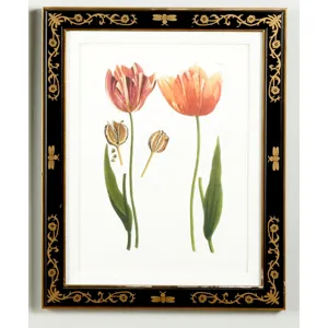 35-0008d Tulip/dec.frame989