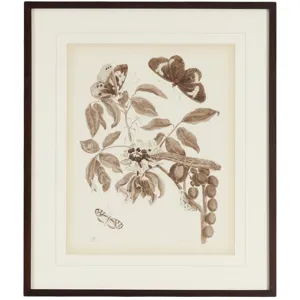 35-0074b Nature Study/sepiaii