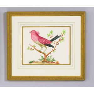 32-0008d Pink Bird/black Tail