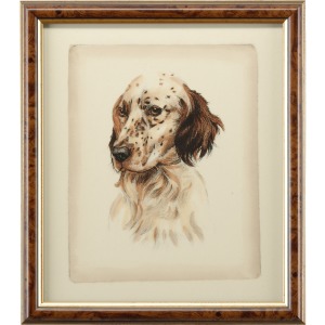 35-0020b Danchin Setter