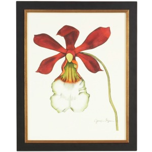35-0049b Majestic Orchid Ii