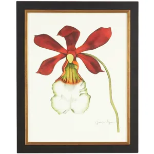 35-0049b Majestic Orchid Ii