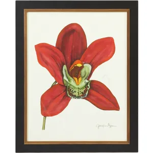 35-0049c Majestic Orchid Iii