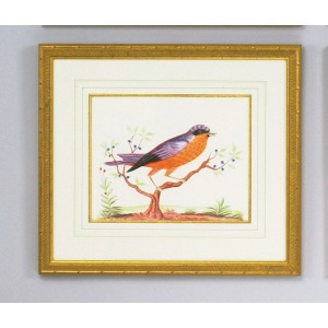 32-0008g Orange Breast