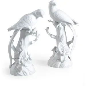 Parrot